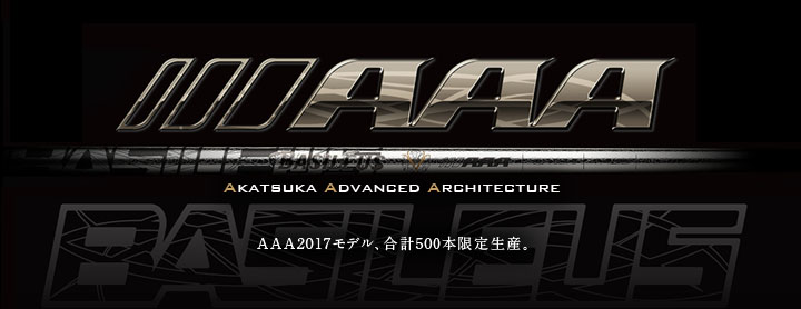 AAA <2017>